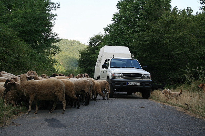 Bulgaria 2008 122